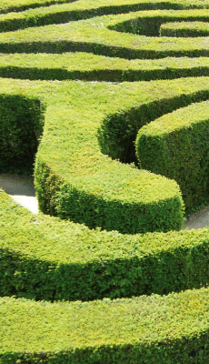 Bild eines Labyrinthgartens